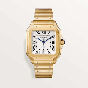 Cartier santos de watch