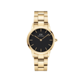 Daniel Wellington iconic link