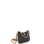 Chanel CC Chain Around Hobo Quilted Lambskin Mini