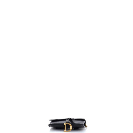 Christian Dior Saddle Nano Pouch Leather