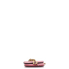 Christian Dior Saddle Nano Pouch Leather
