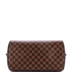 Louis Vuitton Ribera Handbag Damier MM
