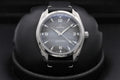 Omega Seamaster Railmaster 235.12.38.20.06.001