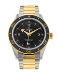 Omega Seamaster 300 233.20.41.21.01.002