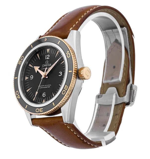 Omega Seamaster 300 233.22.41.21.01.002