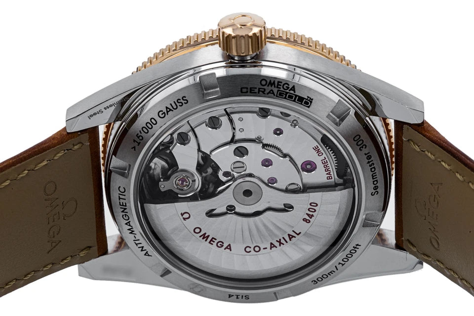 Omega Seamaster 300 233.22.41.21.01.002