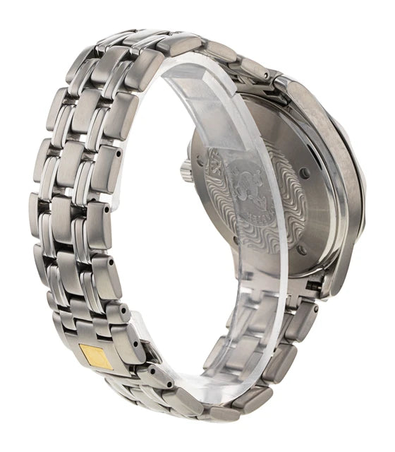 Omega Seamaster GMT 2534.50.00