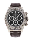 Rolex Daytona 116519